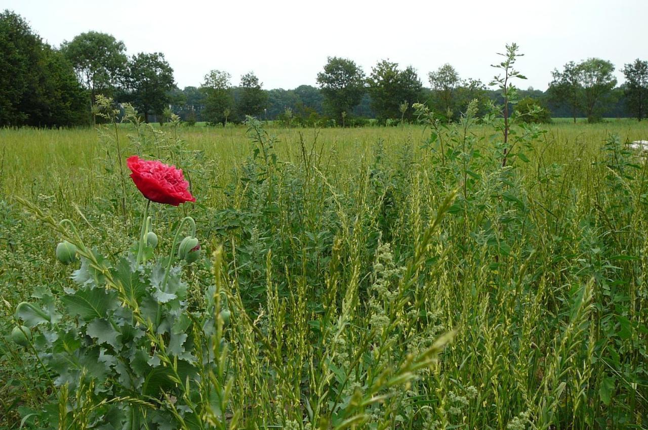 Gasterij Landschot Bed & Breakfast Hoogeloon ภายนอก รูปภาพ